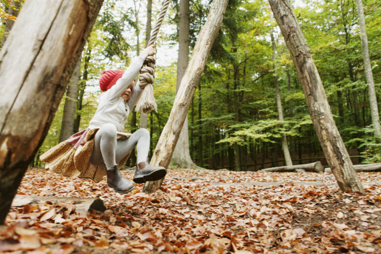 Wald‑Spielplatz am Hohe‑Loog‑Haus