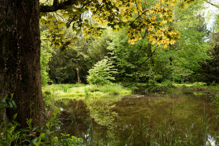 Römer im Naturpark Rhein-Westerwald