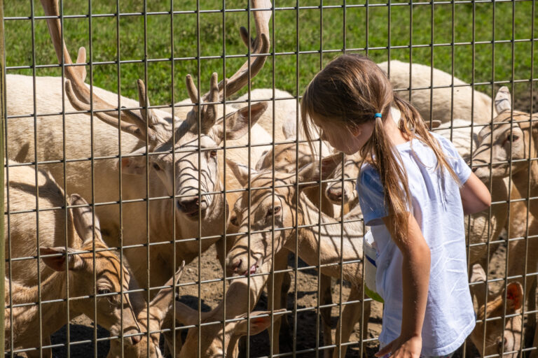 Wildpark Weilburg