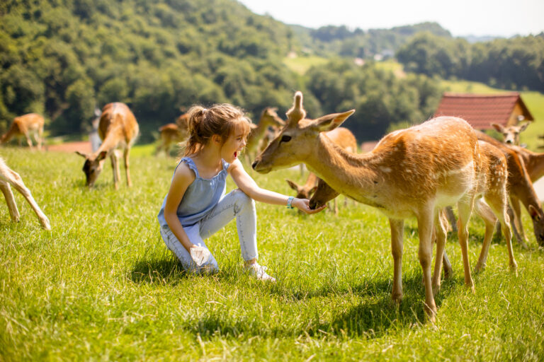 Wildpark Eekholt