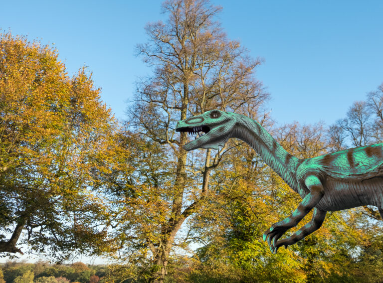 LWL-Naturkundemuseum Münster